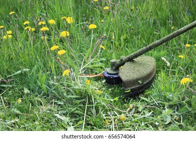 Worker Mowing Grass With A Trimming Machine.