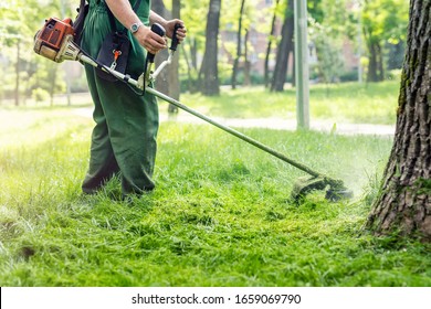 Worker mowing tall grass with electric or petrol lawn trimmer in city park or backyard. Gardening care tools and equipment. Process of lawn trimming with hand mower