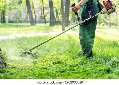 Worker Mowing Tall Grass With Electric Or Petrol Lawn Trimmer In City Park Or Backyard. Gardening Care Tools And Equipment. Process Of Lawn Trimming With Hand Mower