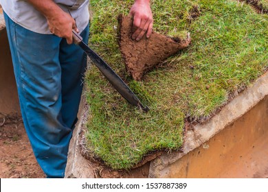 A Worker On A Landscaping Crew Cuts Sod Using A Machete To Fit In A Corner