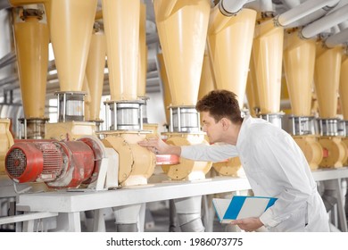 Worker Operator Checks Mill Production Line Of Cereals, Flour, Millet And Seeds. Food Industry Service Concept.