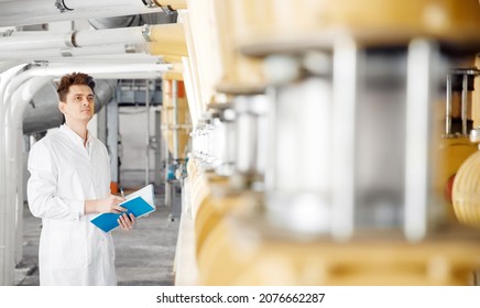 Worker Operator Checks Mill Production Line Of Cereals, Flour, Millet And Seeds. Food Industry Service Concept.