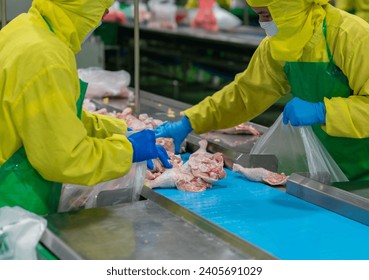 Worker pack the chicken parts on conveyor to bag in factory.  - Powered by Shutterstock