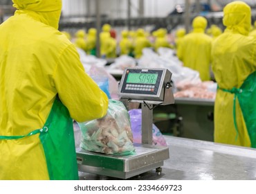 Worker pack the raw chicken parts in bags and weighing them for storage. - Powered by Shutterstock