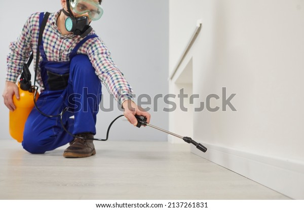 Worker of pest control service during sanitary\
treatment of house with insecticidal chemical sprays. Man in\
goggles and respirator sprays poison on floor of apartment from\
large spray bottle.