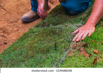 Worker Placing Staples Into New Saint Stock Photo 1539688358 | Shutterstock