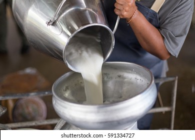 Worker pouring milk into a container for transform.