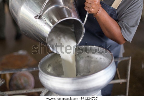 Worker
pouring milk into a container for
transform.