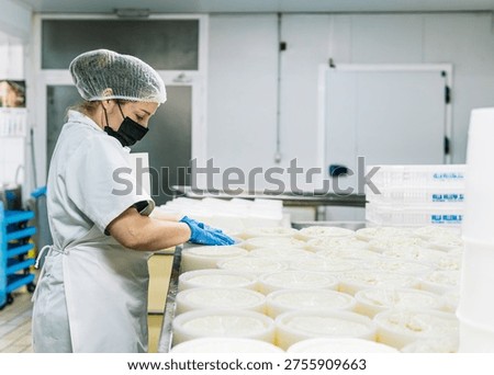 Worker preparing fresh cheese curds into molds on a production line in a clean facility