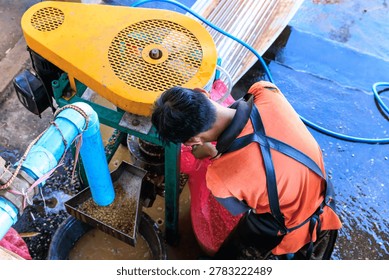 A worker processing fresh coffee cherries with a mechanical pulper at a smallscale rural facility highlighting sustainable agricultural labor and agricultural production practices.