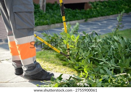 Worker pruning branches with shears during garden maintenance