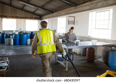 Worker pulling a trolley with crate in olive factory