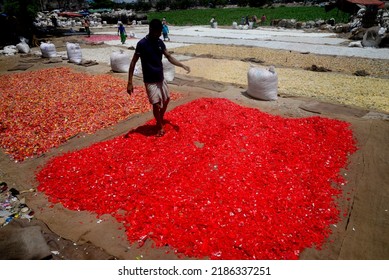 Worker Recycled Plastic Chips Dries Under The Sun On The Bank Of The Buriganga River In Dhaka, Bangladesh, On July 27, 2022. 