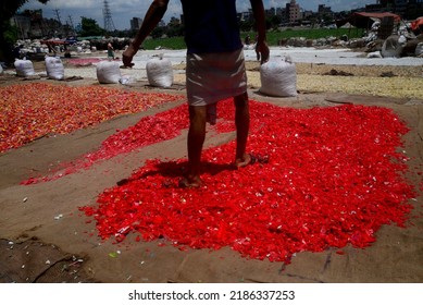 Worker Recycled Plastic Chips Dries Under The Sun On The Bank Of The Buriganga River In Dhaka, Bangladesh, On July 27, 2022. 