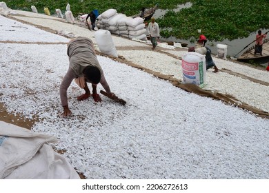 Worker Recycled Plastic Chips Drying Under The Sun On The Bank Of The Buriganga River In Dhaka, Bangladesh, On September 25, 2022. 