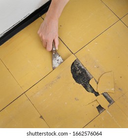 Worker Removing Old Vinyl Tiles From Kitchen Floor Using Spatula Trowel Tool