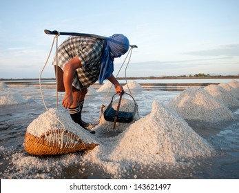 Worker At Salt Extraction In Morning