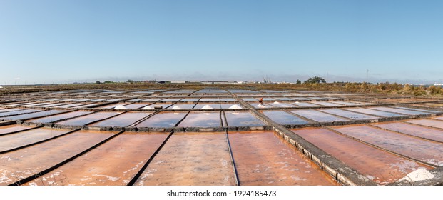 Worker In The Salt Ponds Of Portugal In The Daytime, Man On His Back, With Rake To Move The Salt In The Evaporation Process