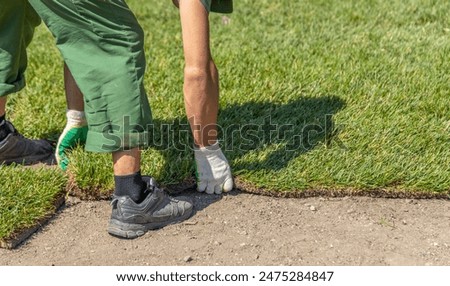 A worker is seen laying down a strip of sod in a garden. Their hands are visible, carefully placing the sod onto the ground.