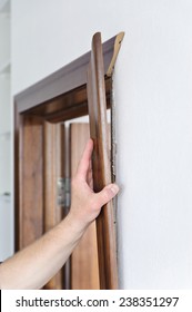 Worker Sets The Door Jamb. Material American Walnut 