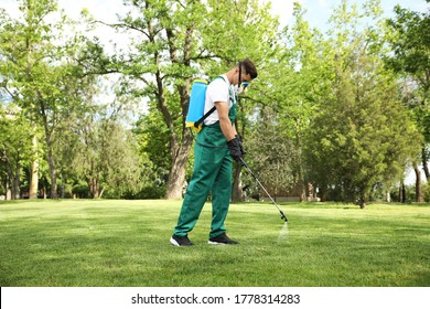 Worker Spraying Pesticide Onto Green Lawn Outdoors. Pest Control