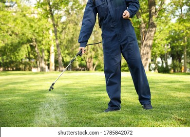 Worker Spraying Pesticide Onto Green Lawn Outdoors, Closeup. Pest Control