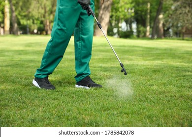 Worker Spraying Pesticide Onto Green Lawn Outdoors, Closeup. Pest Control