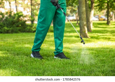 Worker Spraying Pesticide Onto Green Lawn Outdoors, Closeup. Pest Control