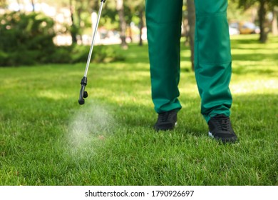 Worker spraying pesticide onto green lawn outdoors, closeup. Pest control - Powered by Shutterstock