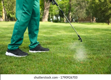 Worker Spraying Pesticide Onto Green Lawn Outdoors, Closeup. Pest Control