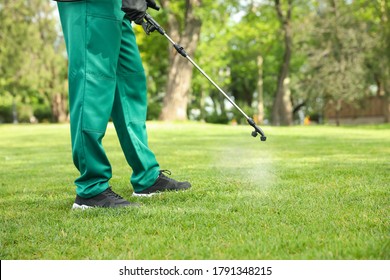 Worker Spraying Pesticide Onto Green Lawn Outdoors, Closeup. Pest Control