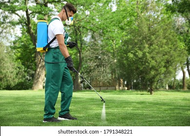 Worker Spraying Pesticide Onto Green Lawn Outdoors. Pest Control