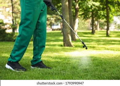 Worker Spraying Pesticide Onto Green Lawn Outdoors, Closeup. Pest Control