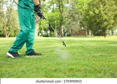 Worker Spraying Pesticide Onto Green Lawn Outdoors, Closeup. Pest Control