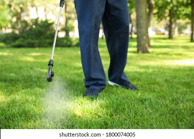 Worker Spraying Pesticide Onto Green Lawn Outdoors, Closeup. Pest Control