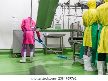 Worker swearing safety overall holding mop cleaning floor in slaughter house. - Powered by Shutterstock