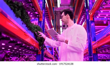 Worker with tablet on aquaponic farm, sustainable business and artificial lighting.