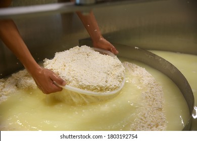 Worker Taking Curd From Tank At Cheese Factory, Closeup