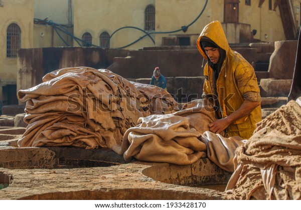 Worker in the tannery working with leather, Morocco\
Fez 10 March 2021