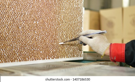 A Worker In A Tobacco Factory Picks Up A Cigarette With Tweezers From Stack