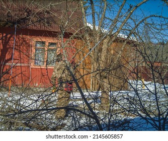 A Worker Trimming Dead Branches Of The Trees, Winter Scene