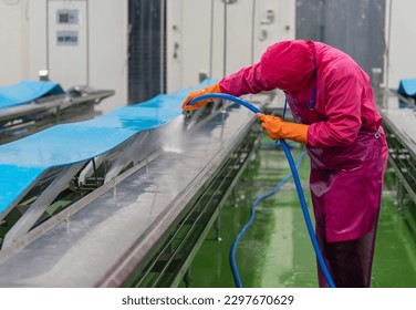 Worker use high pressure water spray cleaning conveyor belt after finishing daily job in slaughter house. - Powered by Shutterstock