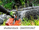 Worker uses chainsaw to cut through large fallen log surrounded by green grass, trees.