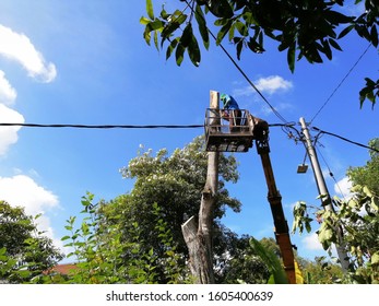 A Worker Using A Crane For Tree Removal Or Pruning With Blue Sky Background.
