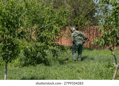 Worker using a gas powered brush cutter to remove tall grass around fruit trees in an orchard. The image illustrates vegetation management, orchard maintenance, weed control, and seasonal groundskeeping. Suitable for agriculture, horticulture, landscaping services, orchard management, gardening publications, and outdoor property maintenance content. 