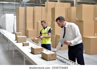 Worker in a warehouse in the logistics sector processing packages on the assembly line  - transport and processing of orders in trade 