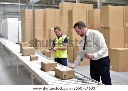 Worker in a warehouse in the logistics sector processing packages on the assembly line  - transport and processing of orders in trade 