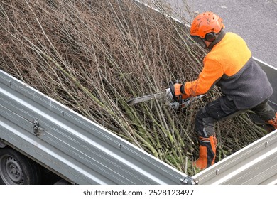 Worker wearing a helmet and full protective work gear, using a chainsaw to cut branches and twigs on a trailer, copy space - Powered by Shutterstock