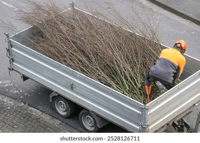 Worker wearing a helmet and full protective work gear, using a chainsaw to cut branches and twigs on a trailer, copy space - Powered by Shutterstock