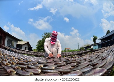 Workers Arranging Fish To Be Dried In The Sun, To Be Made Into Dried Salted Fish, Fish Eye Photography